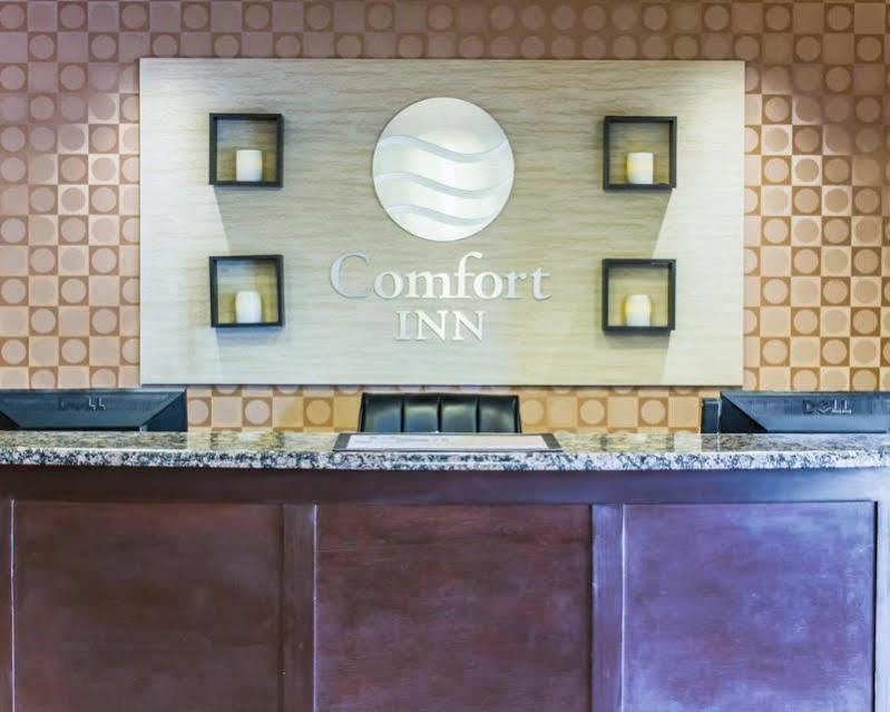 Quality Inn Raleigh Downtown Dış mekan fotoğraf